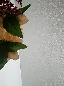 Snapshot of Naomy_veracruz_ chatting on February 24, 10:02 am Naomy veracruz online show from February 24, 10:02 am