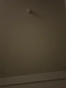 Morguisssz online show from January 8, 12:13 am