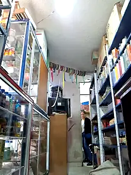 nidia2026 online show from January 28, 3:57 pm