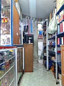 nidia2026 online show from December 22, 3:53 pm