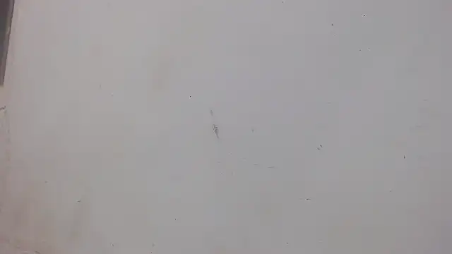 Snapshot of danilo302209 chatting on February 1, 1:02 am danilo302209 online show from February 1, 1:02 am