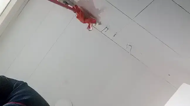 Darly Gomez online show from January 2, 10:33 pm