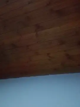 Darly Gomez online show from February 19, 8:41 pm