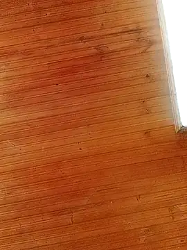 Darly Gomez online show from March 1, 4:00 pm