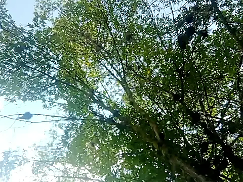 Darly Gomez online show from March 15, 3:27 pm