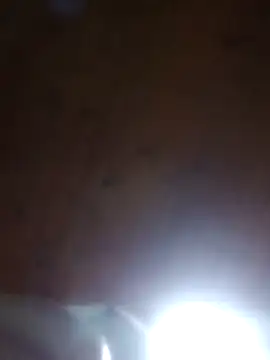 Darly Gomez online show from March 23, 12:04 am