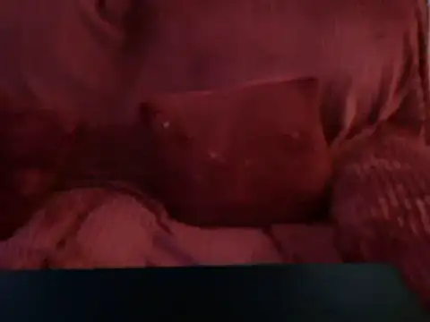 Emmamilfita online show from February 25, 4:53 pm