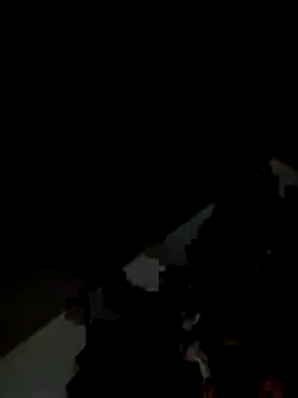 Snapshot of Kitjai200301 chatting on November 1, 7:43 am Kitjai200301 online show from November 1, 7:43 am