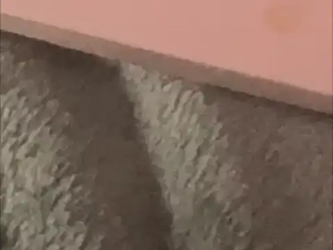 Snapshot of BCNguy1 chatting on January 16, 1:42 am BCNguy1 online show from January 16, 1:42 am