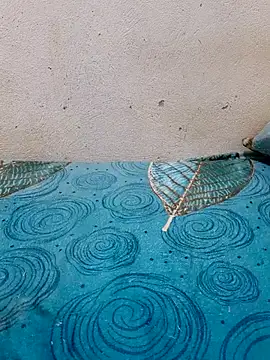 Snapshot of Linda-53 chatting on March 27, 8:30 pm Linda-53 online show from March 27, 8:30 pm