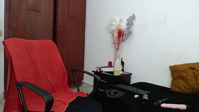 Snapshot of hannaashyel_12 chatting on January 4, 6:40 pm hannaashyel 12 online show from January 4, 6:40 pm