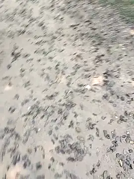 chootkapyasa007 online show from October 22, 7:19 am