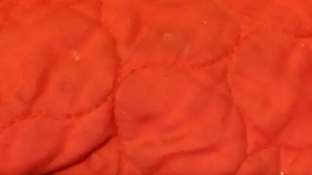 Huntzg23 online show from November 28, 7:44 am