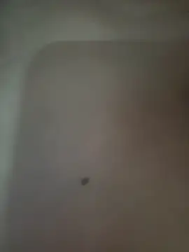 Snapshot of Akhi_Akshaya chatting on January 6, 5:38 pm Akhi Akshaya online show from January 6, 5:38 pm