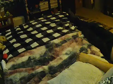 Snapshot of EroticKityii chatting on April 1, 5:08 am EroticKityii online show from April 1, 5:08 am