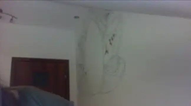 Snapshot of MeganGold chatting on December 28, 3:26 pm MeganGold online show from December 28, 3:26 pm