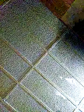 Snapshot of zaneporter46 chatting on February 4, 8:59 pm zaneporter46 online show from February 4, 8:59 pm