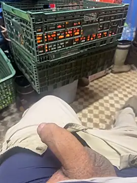 069kinchan online show from December 3, 10:24 am