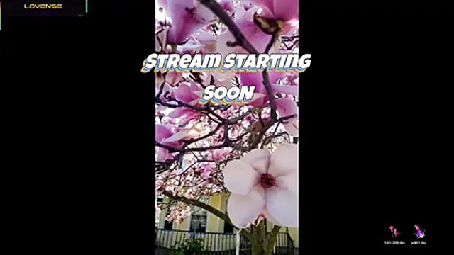 Hackensackneil online show from July 29, 9:24 pm