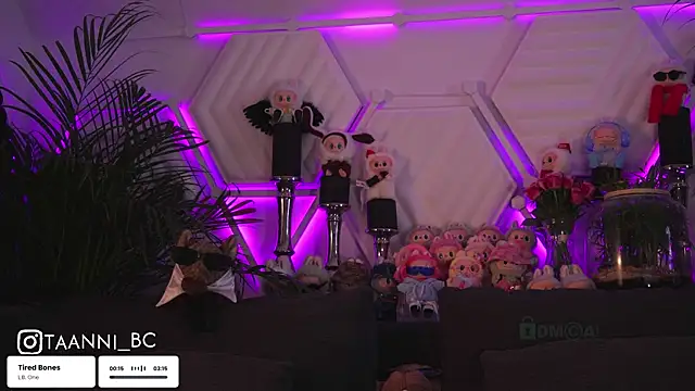 taanni bc online show from October 21, 11:16 pm