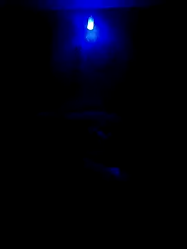 Snapshot of dreamers_dick chatting on January 1, 7:21 pm dreamers dick online show from January 1, 7:21 pm