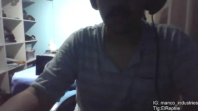 Elrep tile online show from February 7, 1:53 am