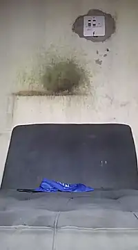 Kaizer1 online show from October 14, 6:20 pm