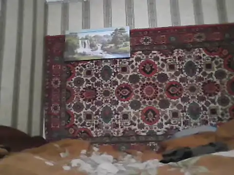 Snapshot of AlferezzSolvajo chatting on February 3, 5:56 pm AlferezzSolvajo online show from February 3, 5:56 pm