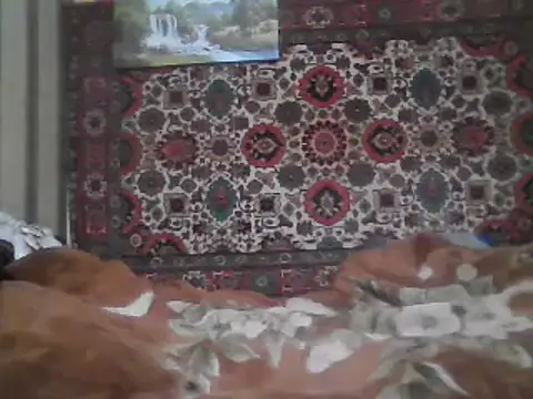 Snapshot of AlferezzSolvajo chatting on February 8, 10:51 pm AlferezzSolvajo online show from February 8, 10:51 pm