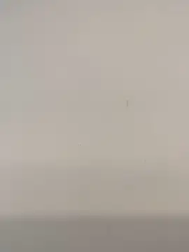 Snapshot of JoaoLenhador chatting on February 26, 12:36 pm JoaoLenhador online show from February 26, 12:36 pm