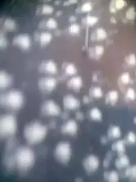 Amaya Bajwa online show from November 15, 4:32 am