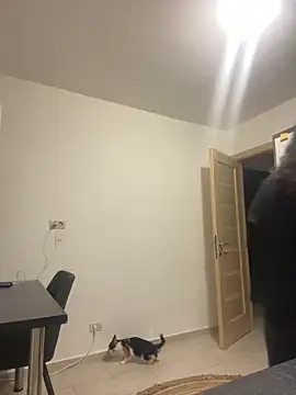 Snapshot of NNNoire chatting on September 26, 10:41 am NNNoire online show from September 26, 10:41 am