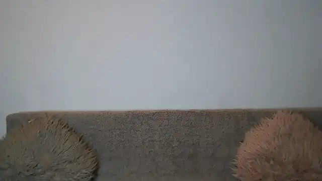 AshlineKatte online show from February 9, 11:03 am