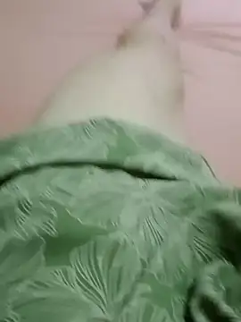 Snapshot of curtindo-muito82 chatting on February 11, 12:26 am curtindo-muito82 online show from February 11, 12:26 am