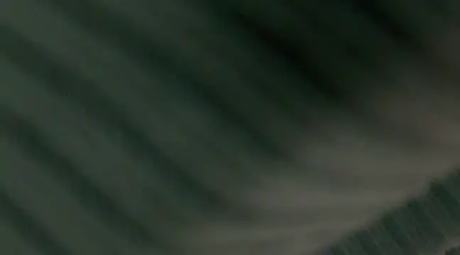 giselao online show from January 15, 4:15 am