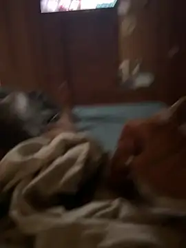 ferdi190 online show from October 11, 10:58 am