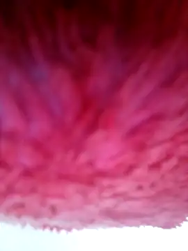 Samara-Bella online show from January 6, 5:22 am