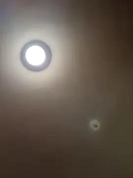 Snapshot of MrDaddyBbSnake chatting on January 28, 4:29 am MrDaddyBbSnake online show from January 28, 4:29 am