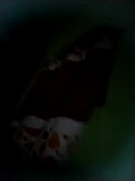 safado0027 online show from November 9, 8:34 am