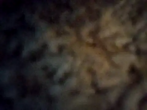 royyul online show from March 21, 2:39 am