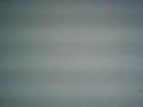 michel1520 online show from June 27, 12:26 am