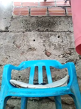 Black Manba online show from September 18, 11:45 am