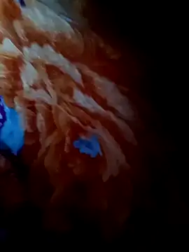 rameshjisex online show from November 12, 1:17 am