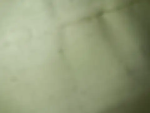 Ktosik88 online show from January 18, 7:50 pm