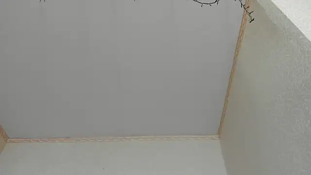 Snapshot of Browni_Kiss chatting on January 16, 7:49 am Browni Kiss online show from January 16, 7:49 am