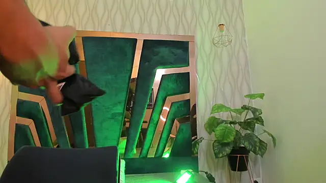 Snapshot of Brad_Summer chatting on March 21, 8:29 pm Brad Summer online show from March 21, 8:29 pm