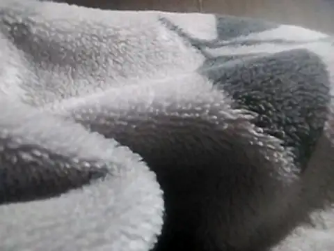 Snapshot of LaneYam chatting on March 12, 8:26 pm LaneYam online show from March 12, 8:26 pm