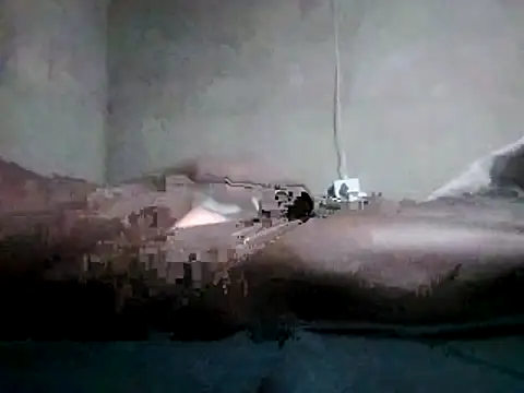 Snapshot of LaneYam chatting on March 15, 9:21 pm LaneYam online show from March 15, 9:21 pm