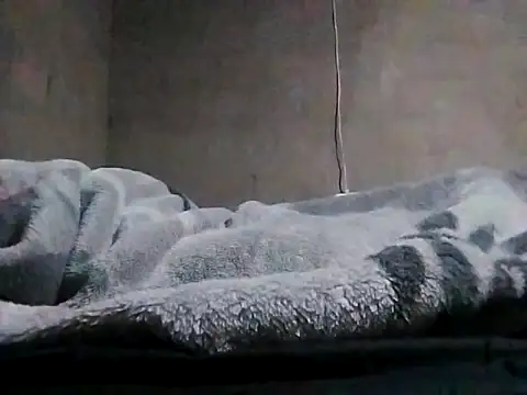 Snapshot of LaneYam chatting on March 24, 8:03 pm LaneYam online show from March 24, 8:03 pm