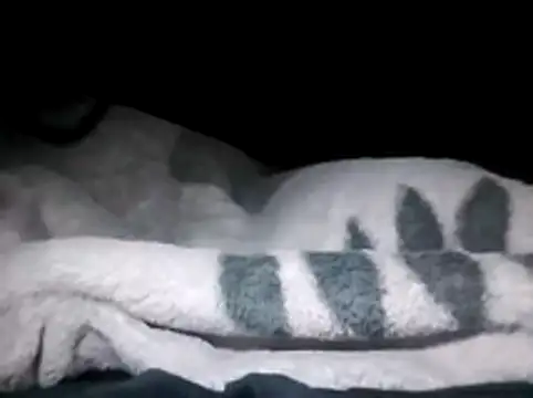 Snapshot of LaneYam chatting on March 28, 12:32 am LaneYam online show from March 28, 12:32 am